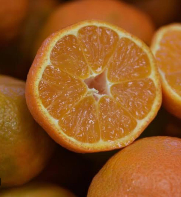 Super Gold Mandarin