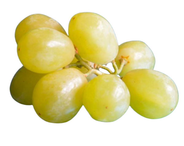 PPRIME GRAPES
