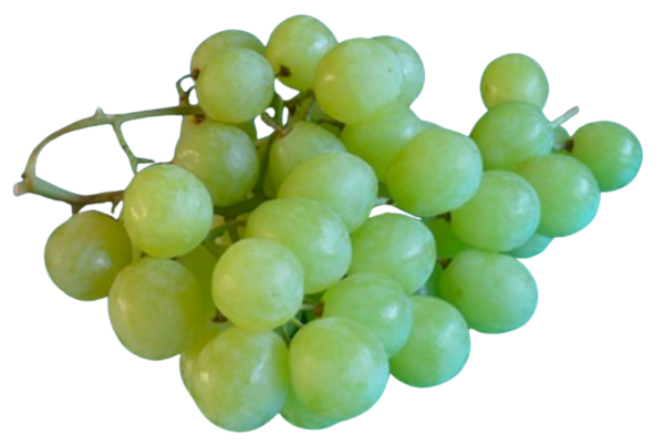 PPRIME GRAPES - Image 2