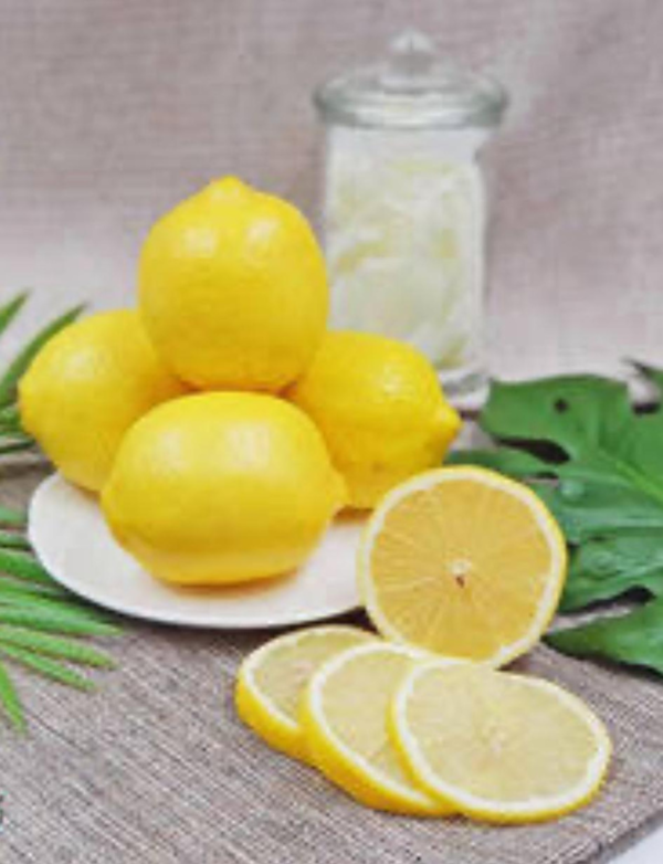 ADALIA EUREKA A LEMON