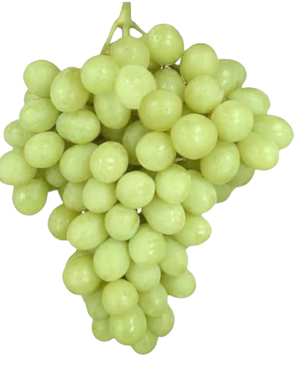 Superior Grapes