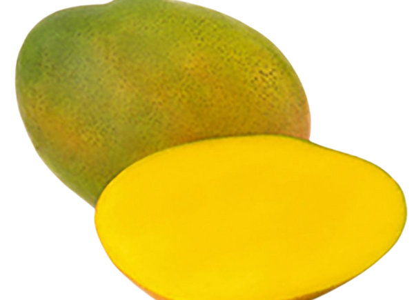Kite Mango - Image 2