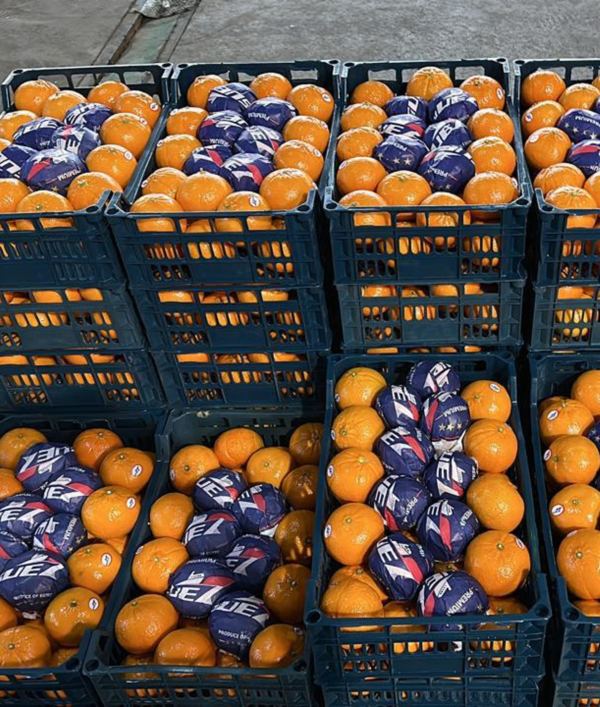 Murcott Mandarin
